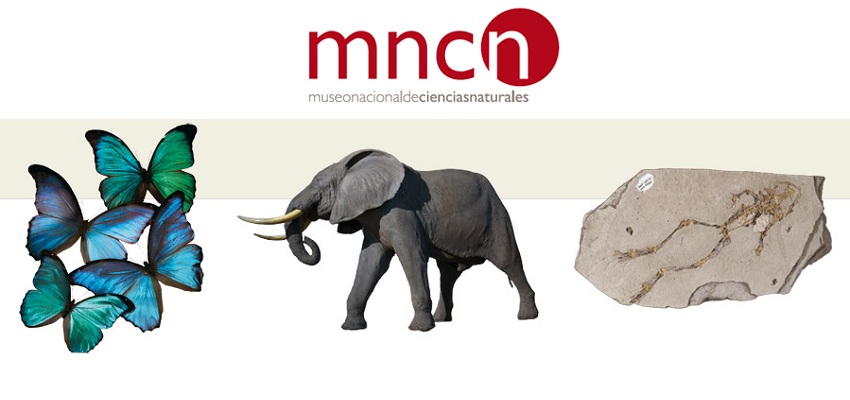 museo-nacional-ciencias-naturales-madrid-1