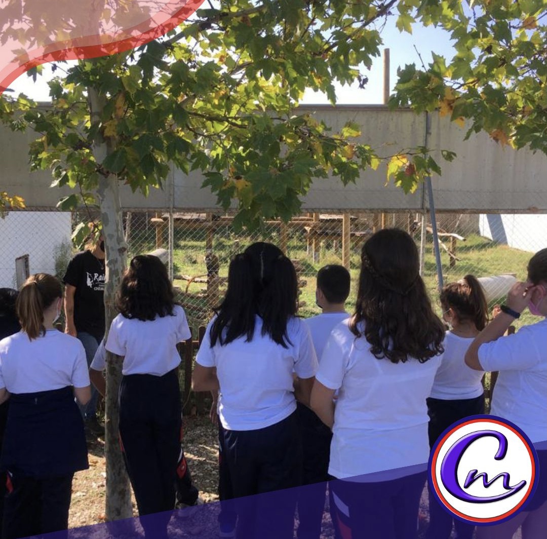 Foto-19-10-21-18-08-08